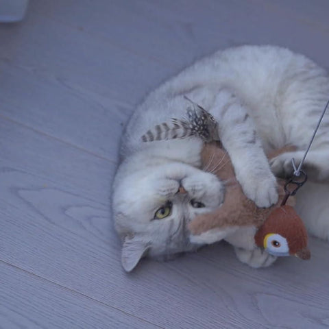 Flapping Cat Toy